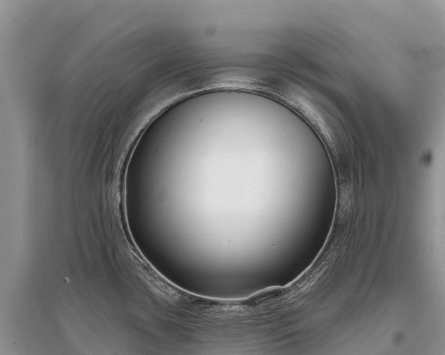 X0000096151435200801251054