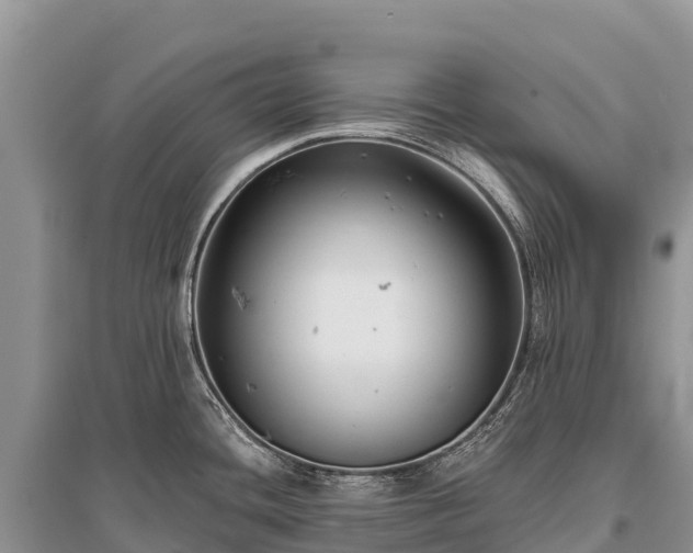 X0000096151436200801251054