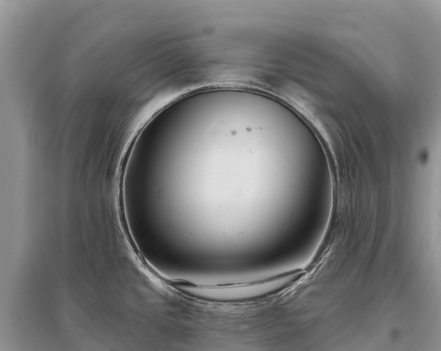 X0000096151437200801251054