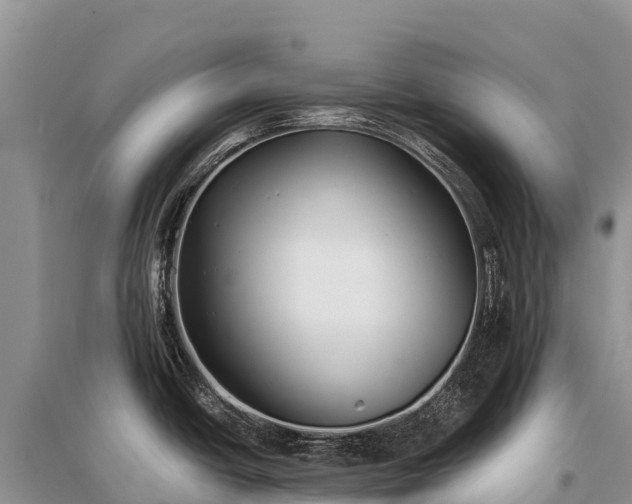 X0000096151438200801251054