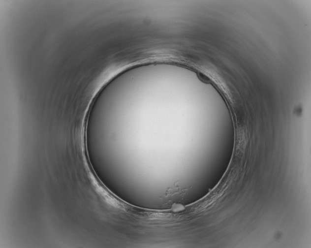 X0000096151439200801251054