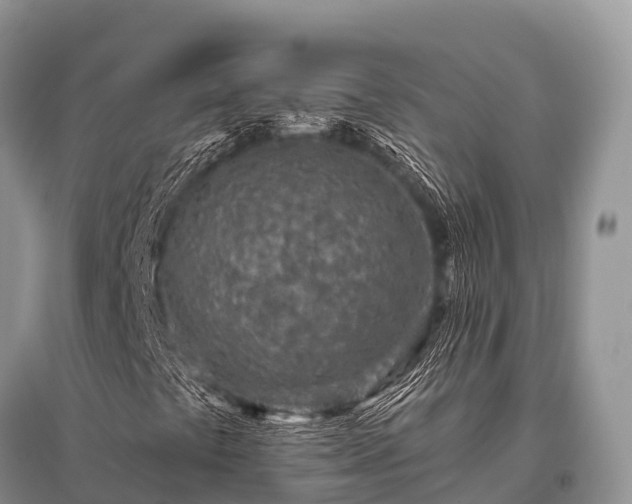 X0000096151441200801251054