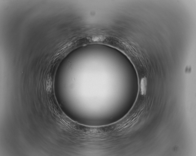 X0000096151443200801251054