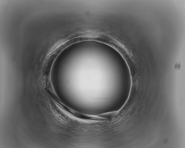 X0000096151448200801251054