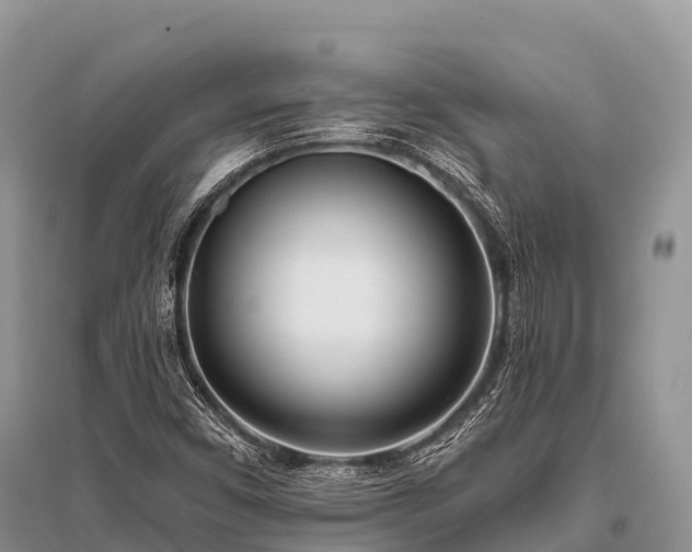 X0000096151450200801251054