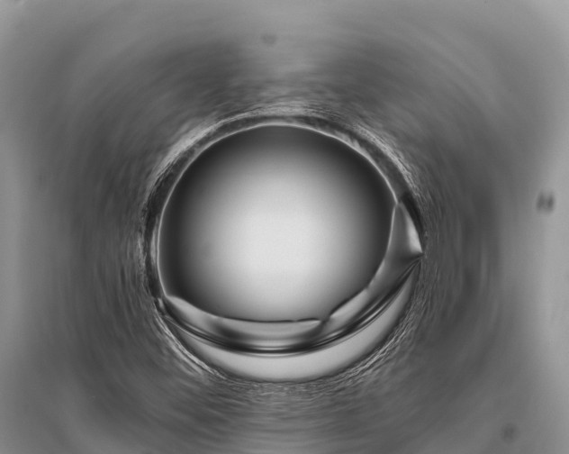 X0000096151452200801251054