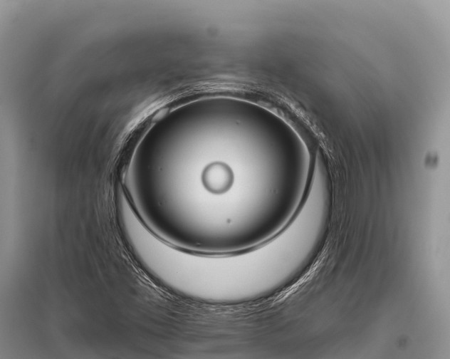 X0000096151453200801251054