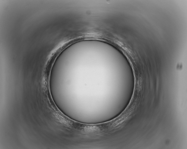 X0000096151454200801251054