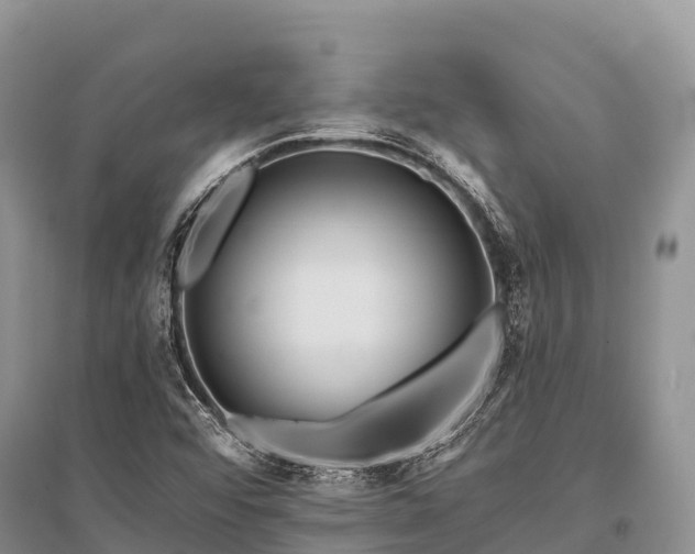 X0000096151456200801251054