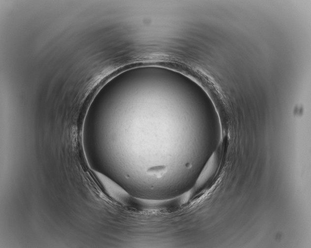X0000096151457200801251054