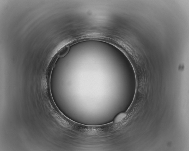 X0000096151458200801251054