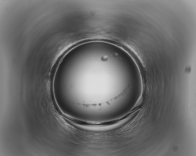 X0000096151460200801251054