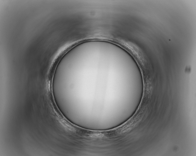 X0000096151462200801251054