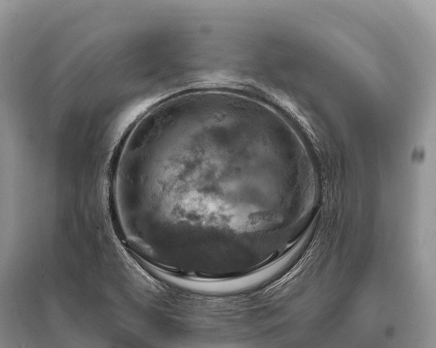 X0000096151463200801251053