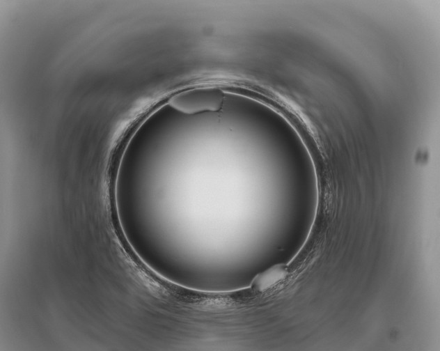 X0000096151464200801251053