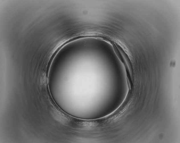X0000096151465200801251053