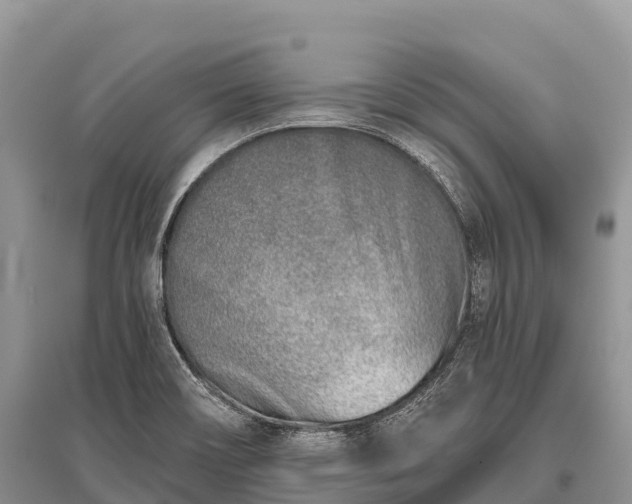 X0000096151466200801251053