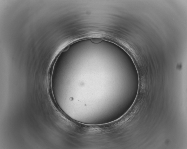 X0000096151467200801251053