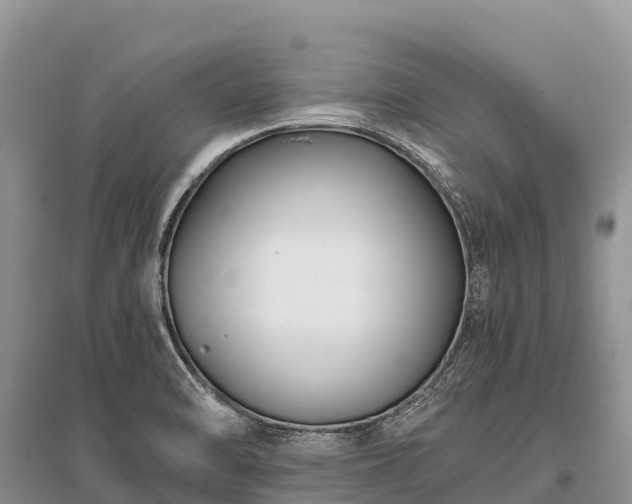 X0000096151470200801251053