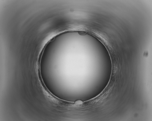 X0000096151471200801251053