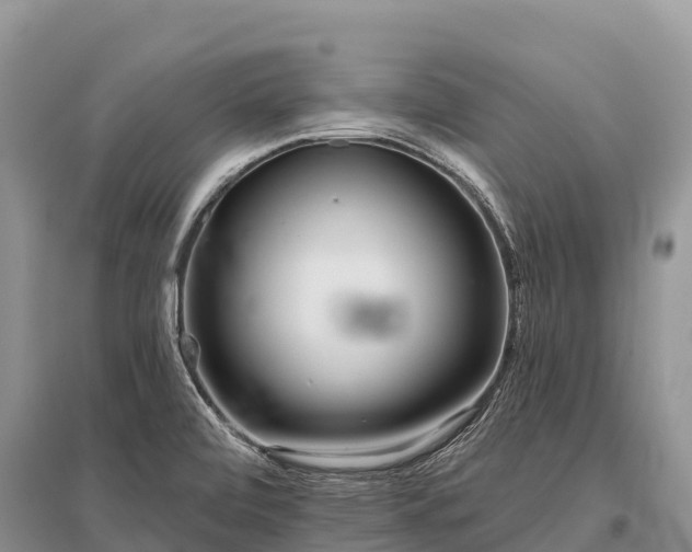 X0000096151472200801251053