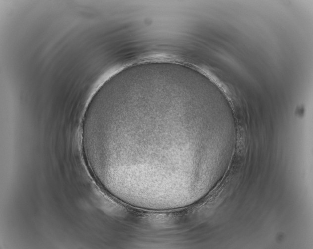 X0000096151474200801251053