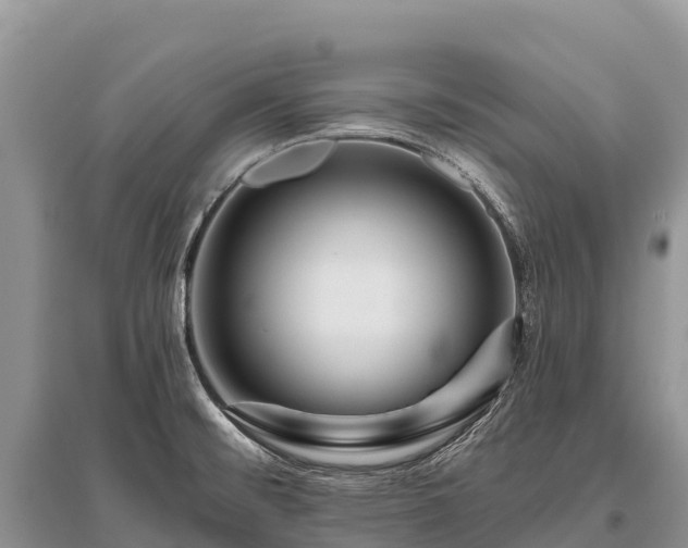 X0000096151476200801251053