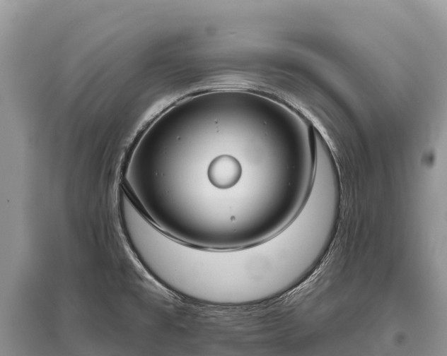 X0000096151477200801251053