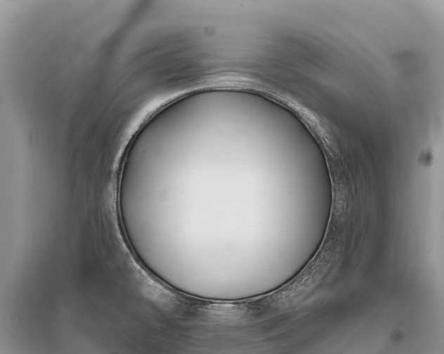 X0000096151478200801251053