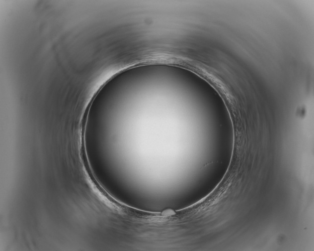 X0000096151479200801251053