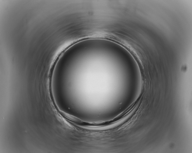 X0000096151480200801251053