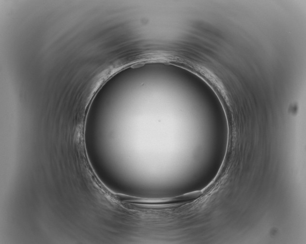 X0000096151481200801251053