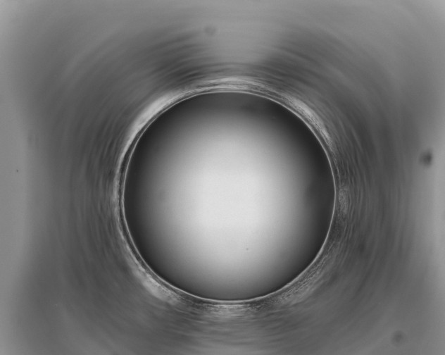 X0000096151482200801251053