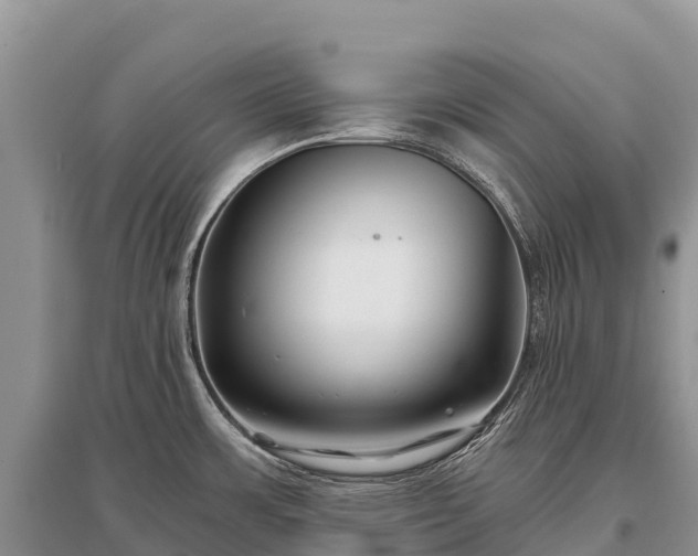 X0000096151483200801251053