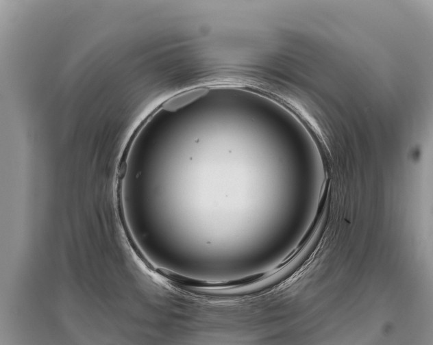 X0000096151484200801251053