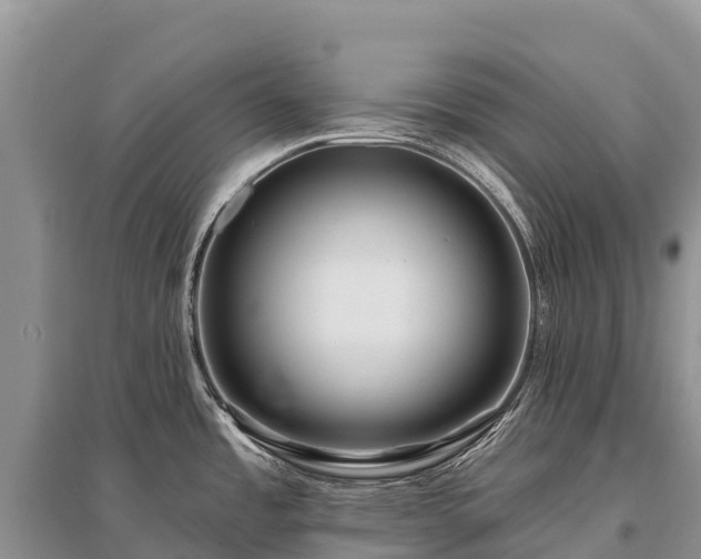X0000096151485200801251053