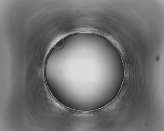 X0000096151486200801251053
