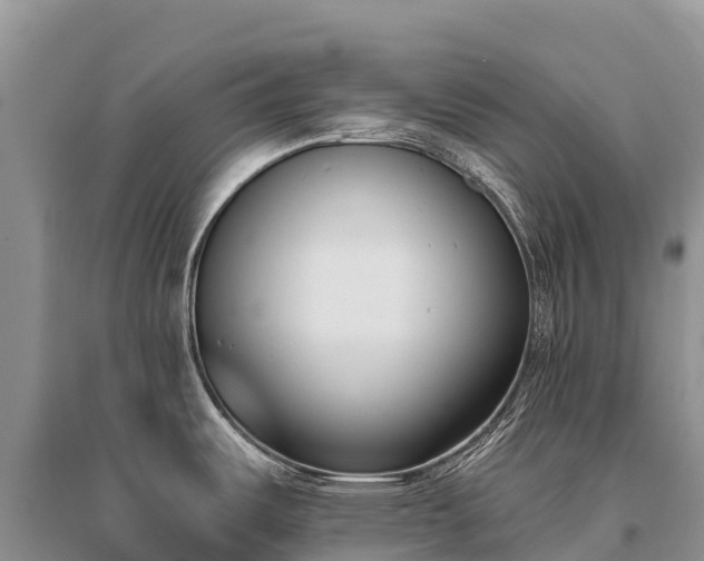 X0000096151487200801251053