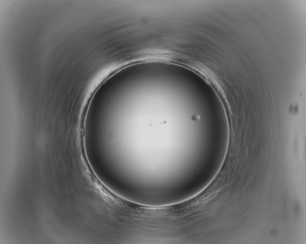 X0000096151488200801251053