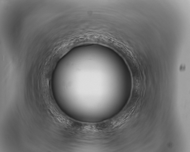 X0000096151489200801251052
