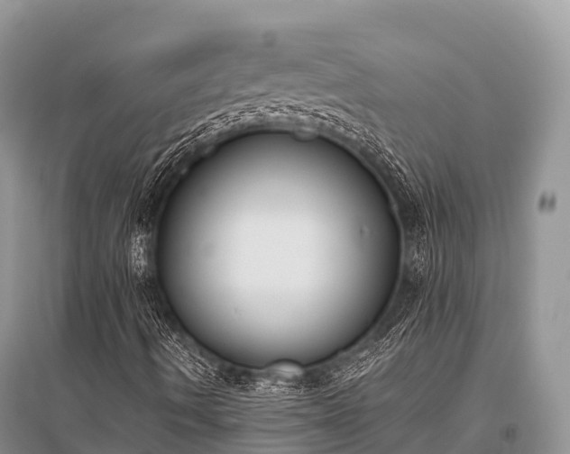 X0000096151490200801251052