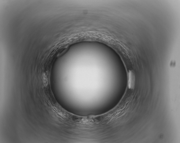 X0000096151491200801251052