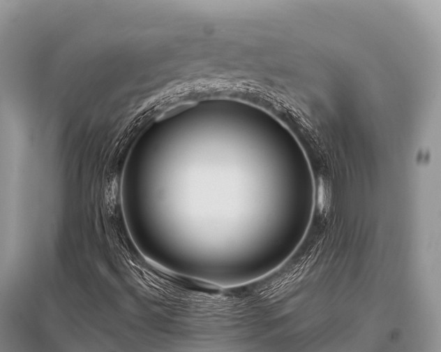 X0000096151492200801251052