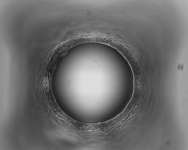 X0000096151493200801251052