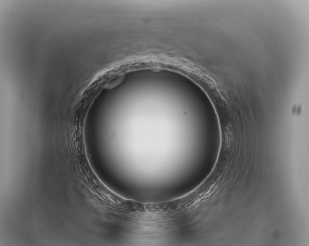 X0000096151494200801251052