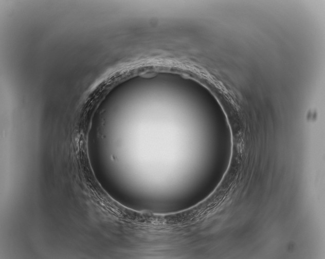 X0000096151495200801251052