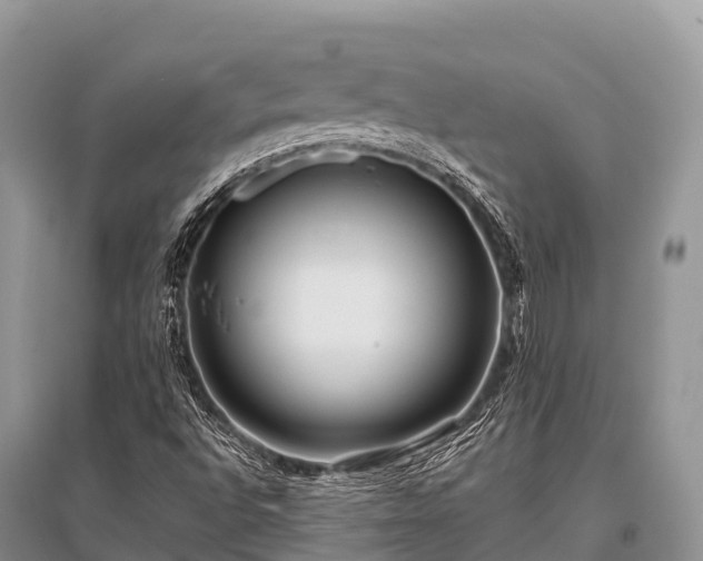 X0000096151496200801251052