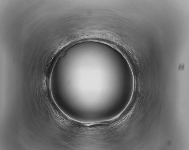 X0000096151497200801251052