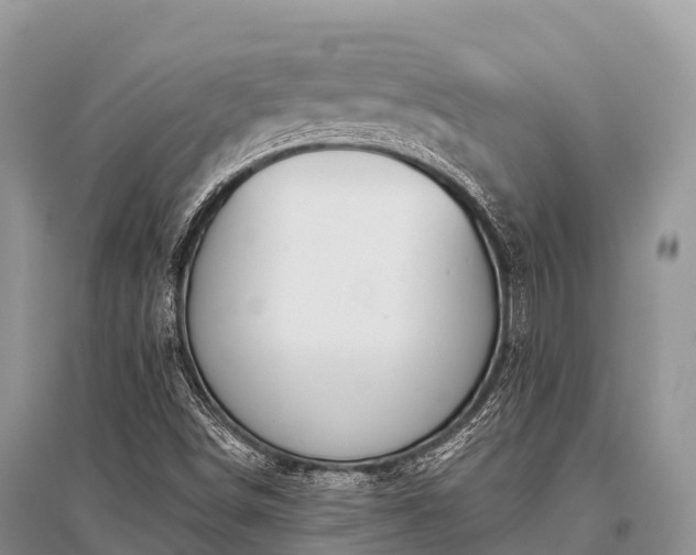 X0000096151498200801251052