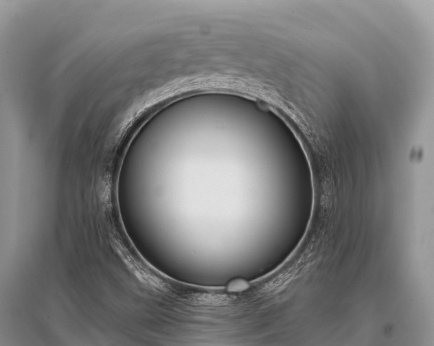 X0000096151499200801251052